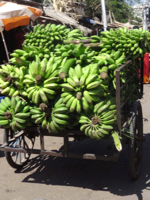 Madurai.bananvogn