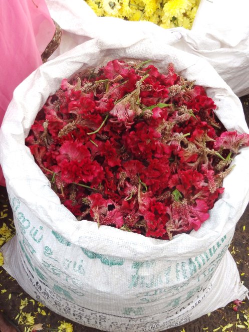 Madurai.blomstermarked røde b